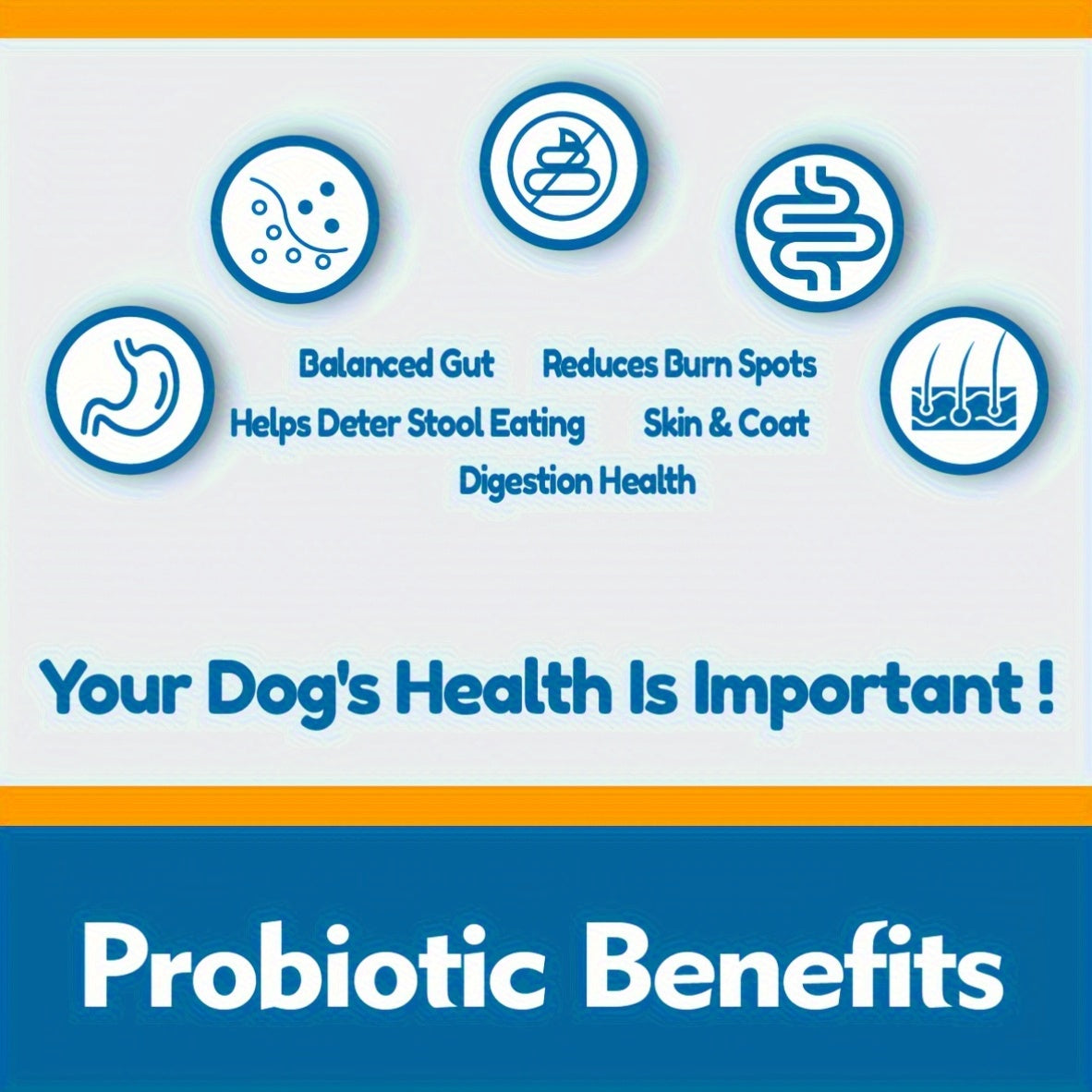 DGI Dog Probiotic Soft Chew