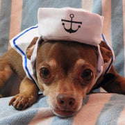 Rabbit in navy sailor cloak