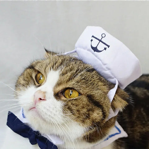 Halloween sailor pet costume