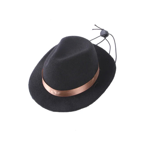 Halloween pet cowboy hat costume
