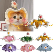 Cat wearing a cute cosplay hat