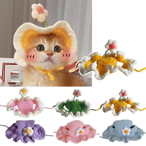 Cat wearing a cute cosplay hat