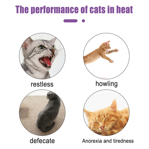 Calming spray for pet anxiety and stress