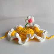 Puppy in funny knitted pet hat