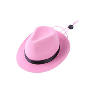 Pet accessories cowboy hat