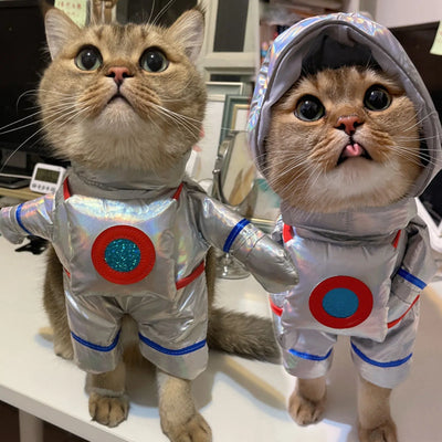 Dog wearing funny space suit costume