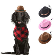 Cute cowboy hat for dogs and cats