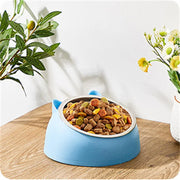 Cat and puppy stainless steel feeding dish