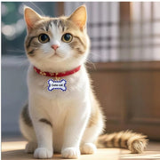 A cute cat wearing a personalized ID tag with the text 'Cute cat', sitting indoors with a red collar.