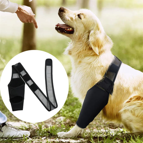 Pet knee pads for joint protection