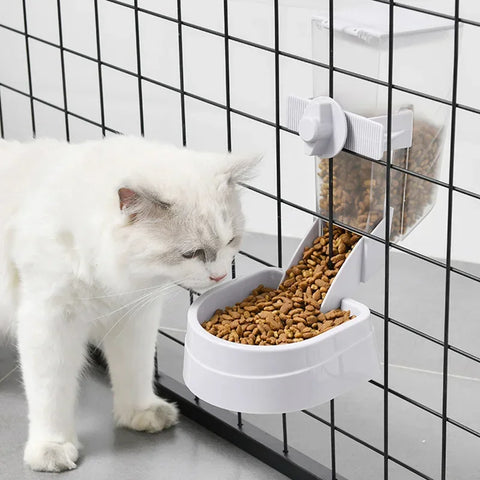 Auto-feeding bowl and drink bottle for small animals
