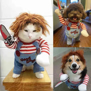 Cat in funny Halloween costume