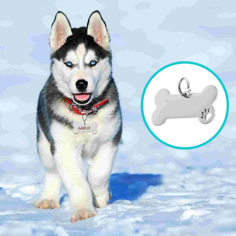 Stainless steel pet ID tags for dogs