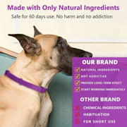 Red pet calming collar for anxiety reduction