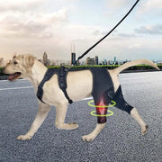 Orthopedic leg brace for dogs                                                                                                                                                                                        