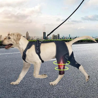 Orthopedic leg brace for dogs                                                                                                                                                                                        