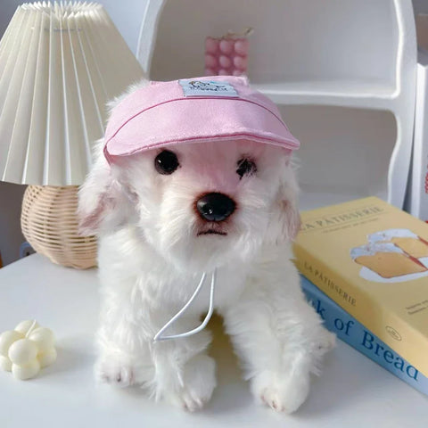 Cat wearing adjustable outdoor sun hat