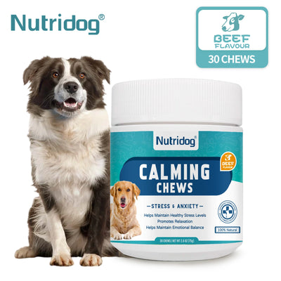 Calming dog chews for anxiety and stress relief