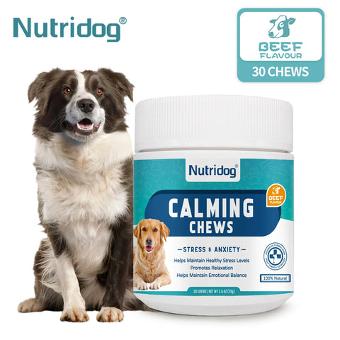 Calming dog chews for anxiety and stress relief