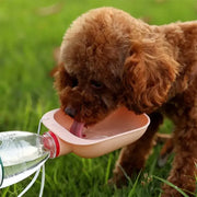 Outdoor pet travel bottle for dogs and cats