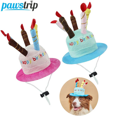 Dog wearing birthday party hat