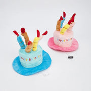 Cute party hat for dogs and cats