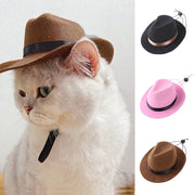 Pet outdoor cowboy hat accessory