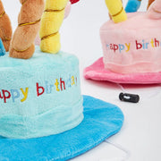 Cat in fun party dress-up hat