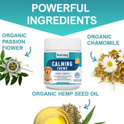 L-Theanine calming dog supplement in soft chew form