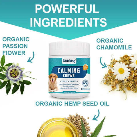 L-Theanine calming dog supplement in soft chew form