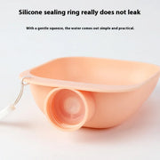 Leak-proof dog water bottle with drinking bowl