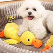 Squeaky duck toy for dog teeth cleaning