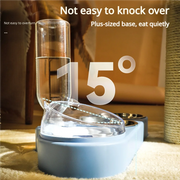 Cat and dog feeding set with base and bottle