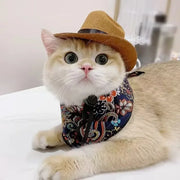 Dog and cat cowboy photo prop