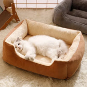Indoor pet bed for cats, puppies, and small animals