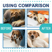Dog and cat calming fluid for stress relief
