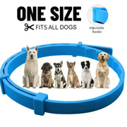 Soothing pet collar for stress relief