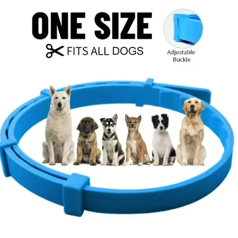 Soothing pet collar for stress relief