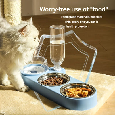 Pet feeding bowl set with water bottle