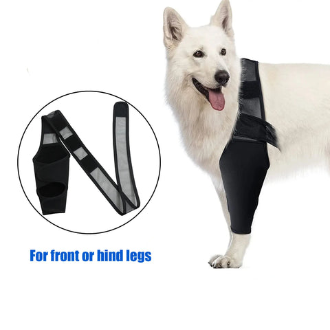 Leg brace for injured dogs