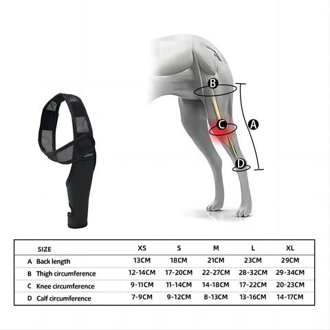 Knee pads for dog joint injury
