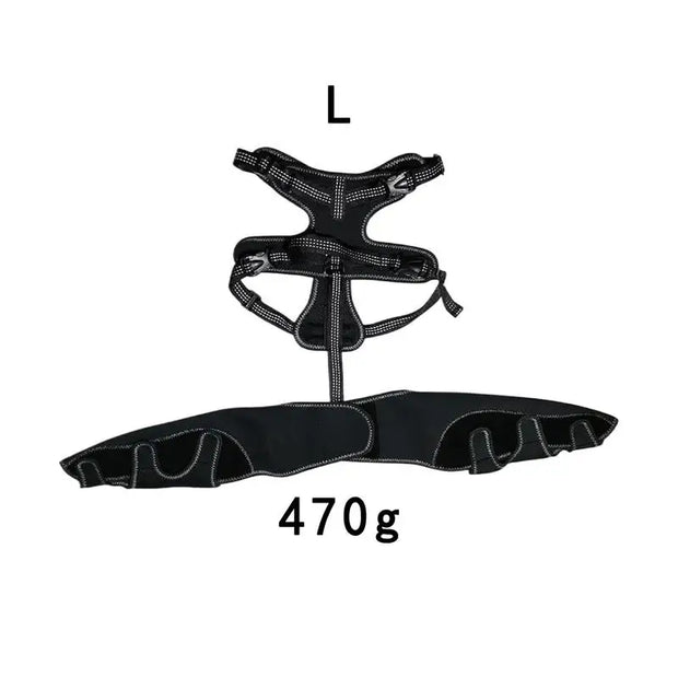Pet leg brace providing hip assistance and warmth