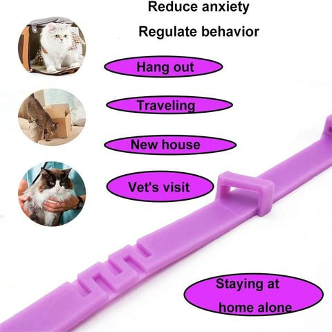 Pet anxiety relief collar with natural pheromones
