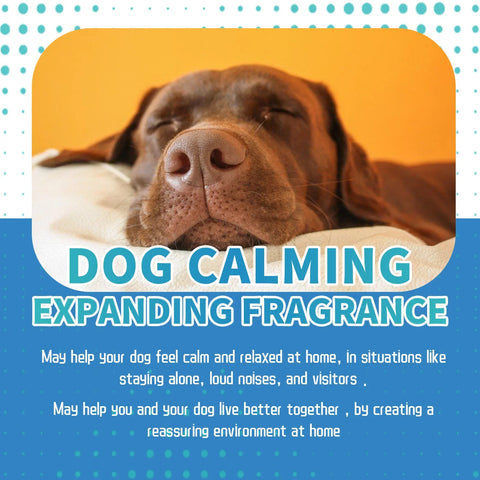 Liquid diffuser for pet anxiety and calm