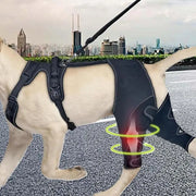 Canine orthopedic support wrap for mobility and joint c