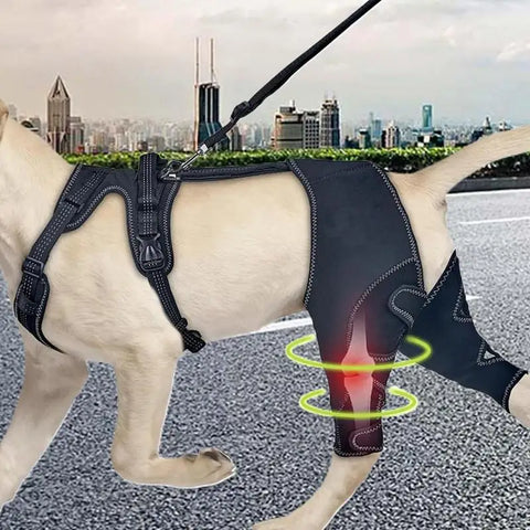 Canine orthopedic support wrap for mobility and joint c