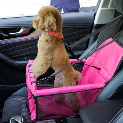 Durable scratch-proof dog car booster seat with safety belt