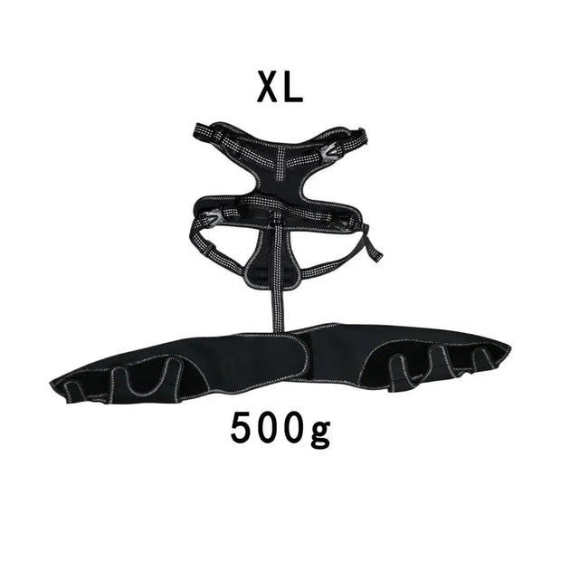  Orthopedic dog brace for joint warmth and injury support