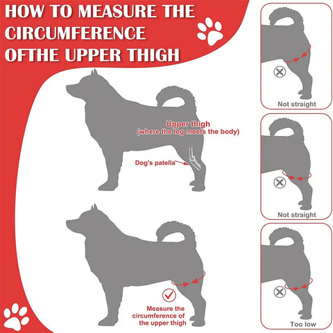 Supportive knee brace for elderly dogs