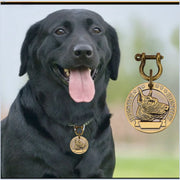 A happy black Labrador retriever wearing a personalized pet ID tag with an engraved dog design.